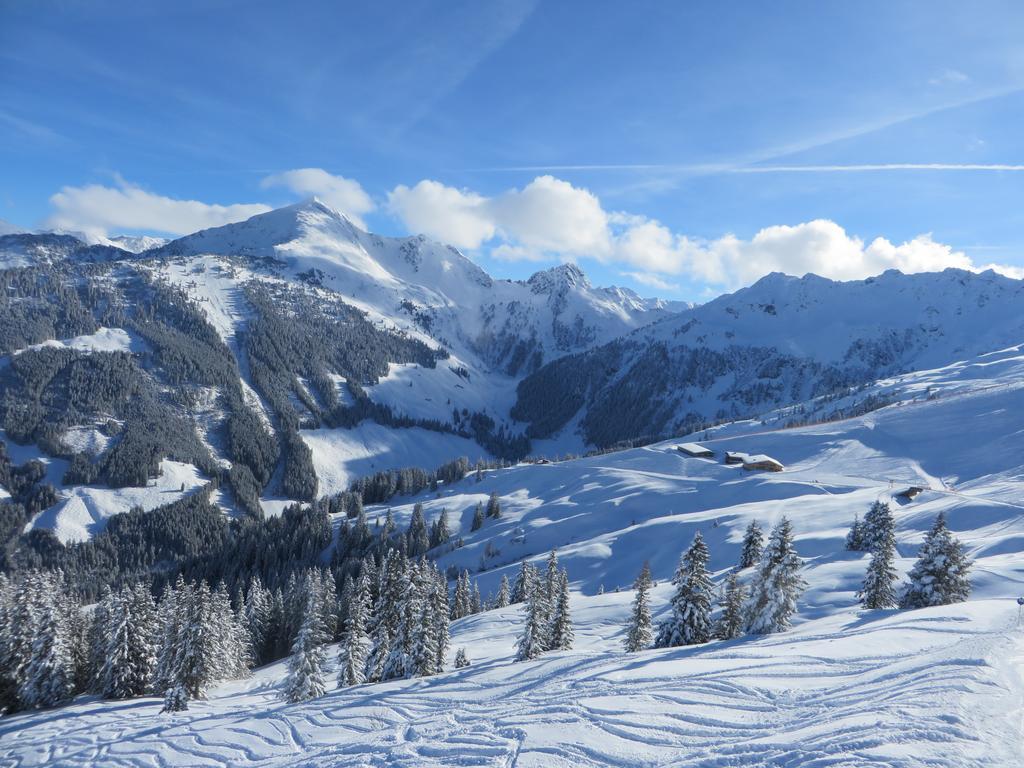 Pension Muehlbachhof Alpbach Exterior foto