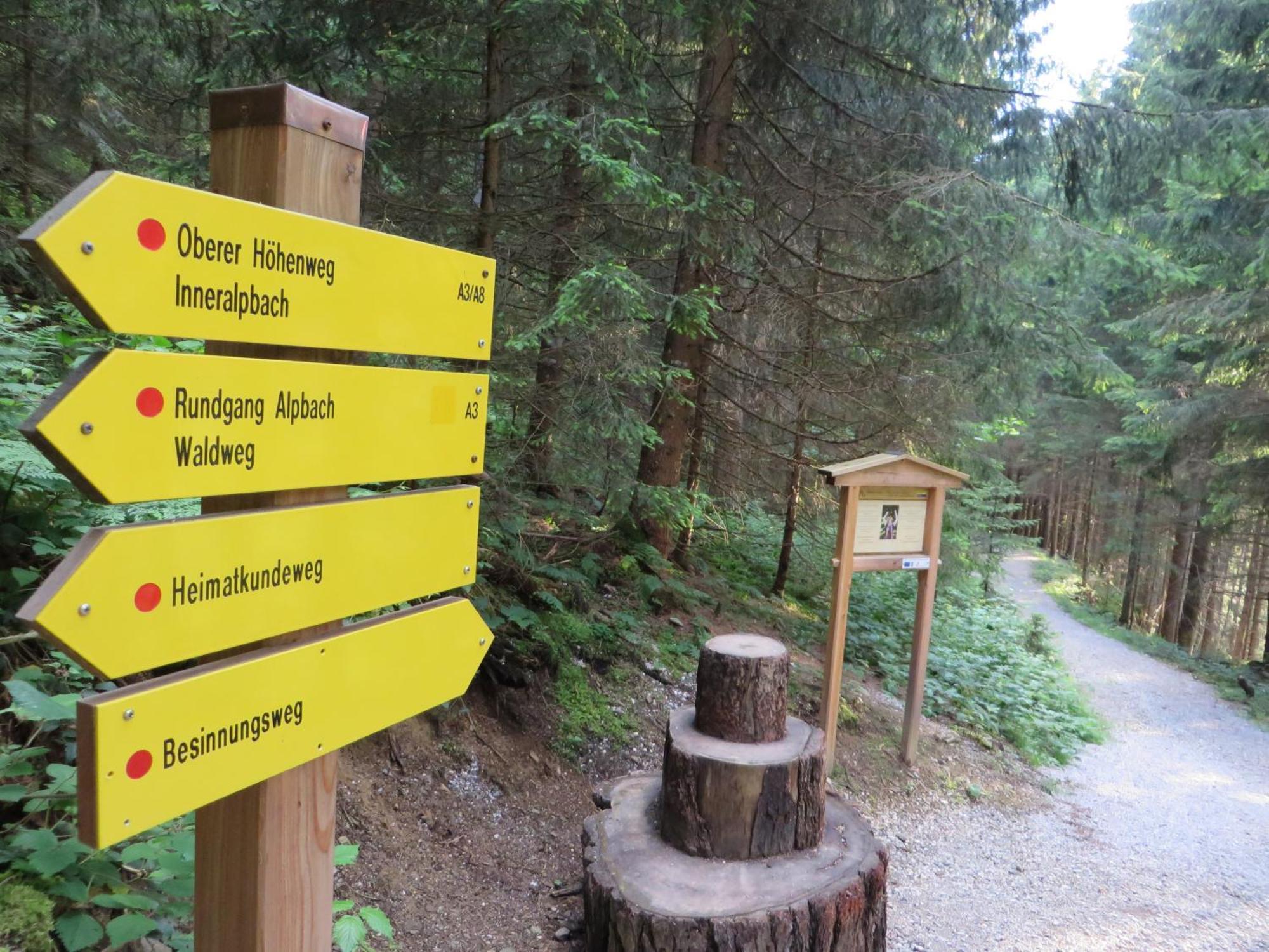 Pension Muehlbachhof Alpbach Exterior foto
