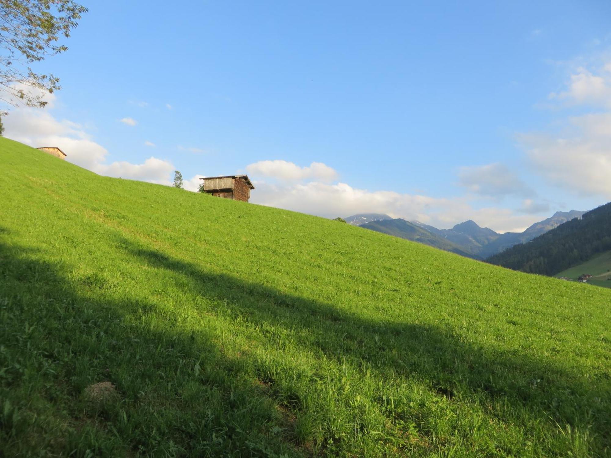 Pension Muehlbachhof Alpbach Exterior foto